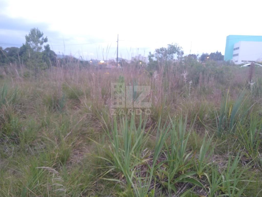 Terreno à venda, SORGATTO, CACADOR - SC