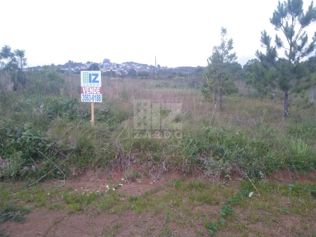 Terreno à venda, SORGATTO, CACADOR - SC