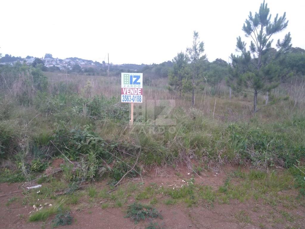 Terreno à venda, SORGATTO, CACADOR - SC