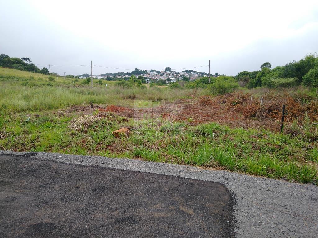 Lote à venda, SORGATTO, CACADOR - SC
