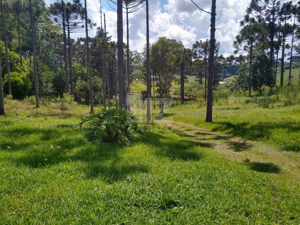 Rural à venda, Nossa Senhora da Salete, CACADOR - SC