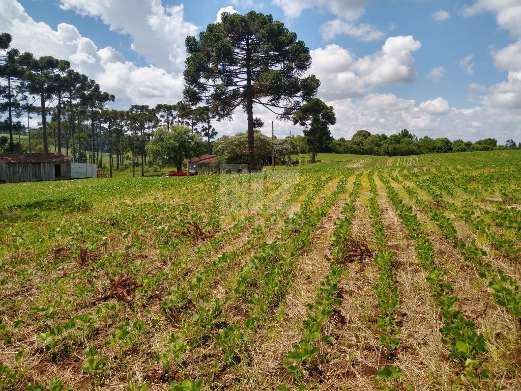 Rural à venda, Nossa Senhora da Salete, CACADOR - SC