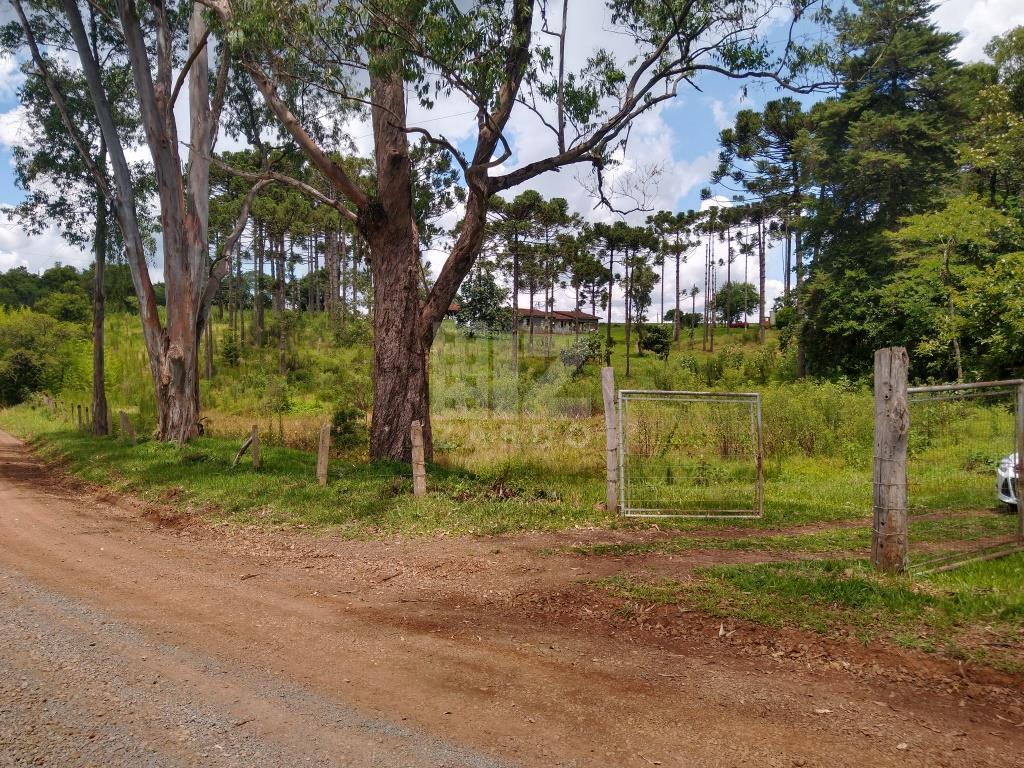 Rural à venda, Nossa Senhora da Salete, CACADOR - SC
