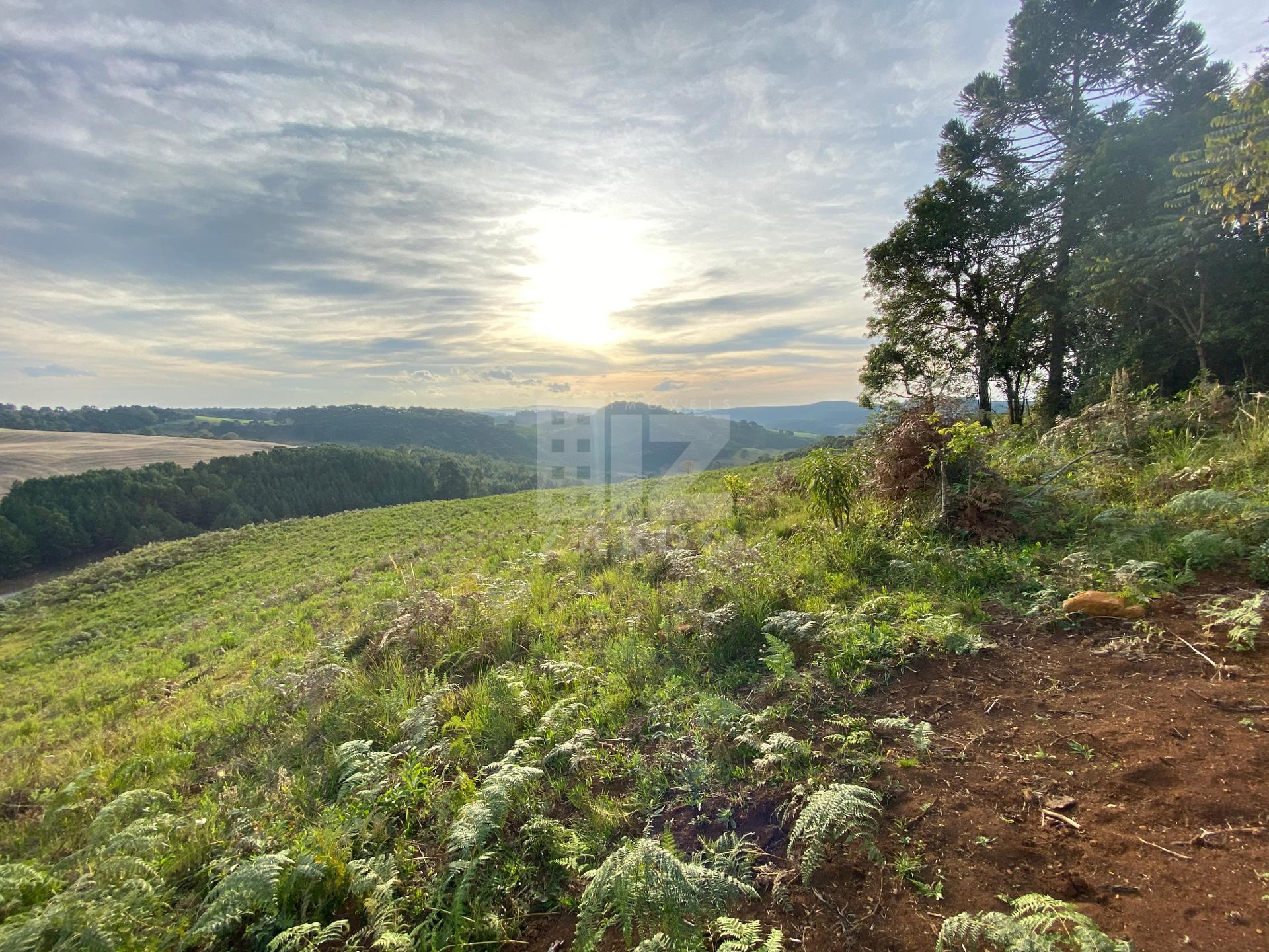 TERRENO RURAL À VENDA    LINHA CERRO BRANCO   SC-350   CAÇADOR...