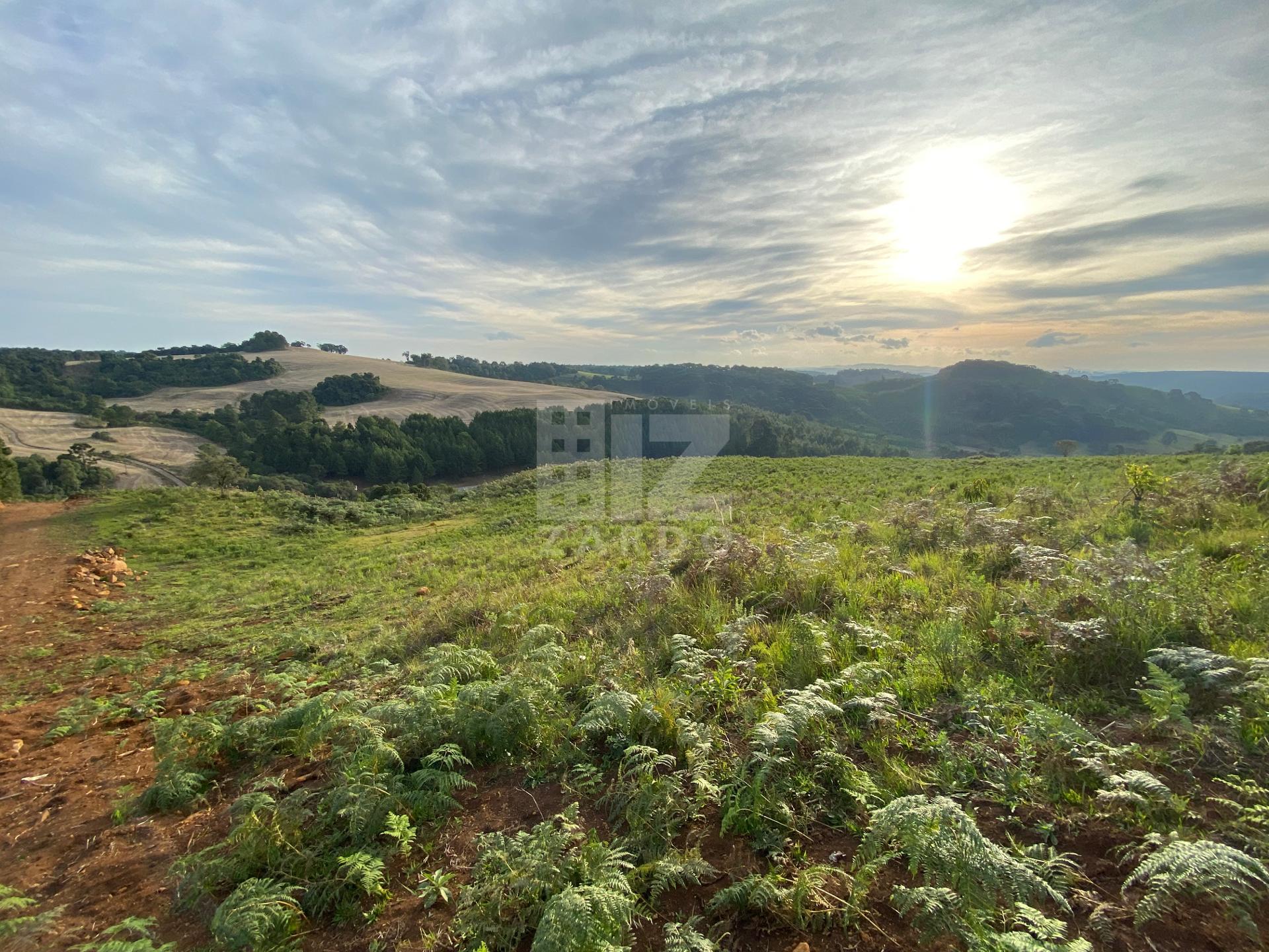 TERRENO RURAL À VENDA    LINHA CERRO BRANCO   SC-350   CAÇADOR...