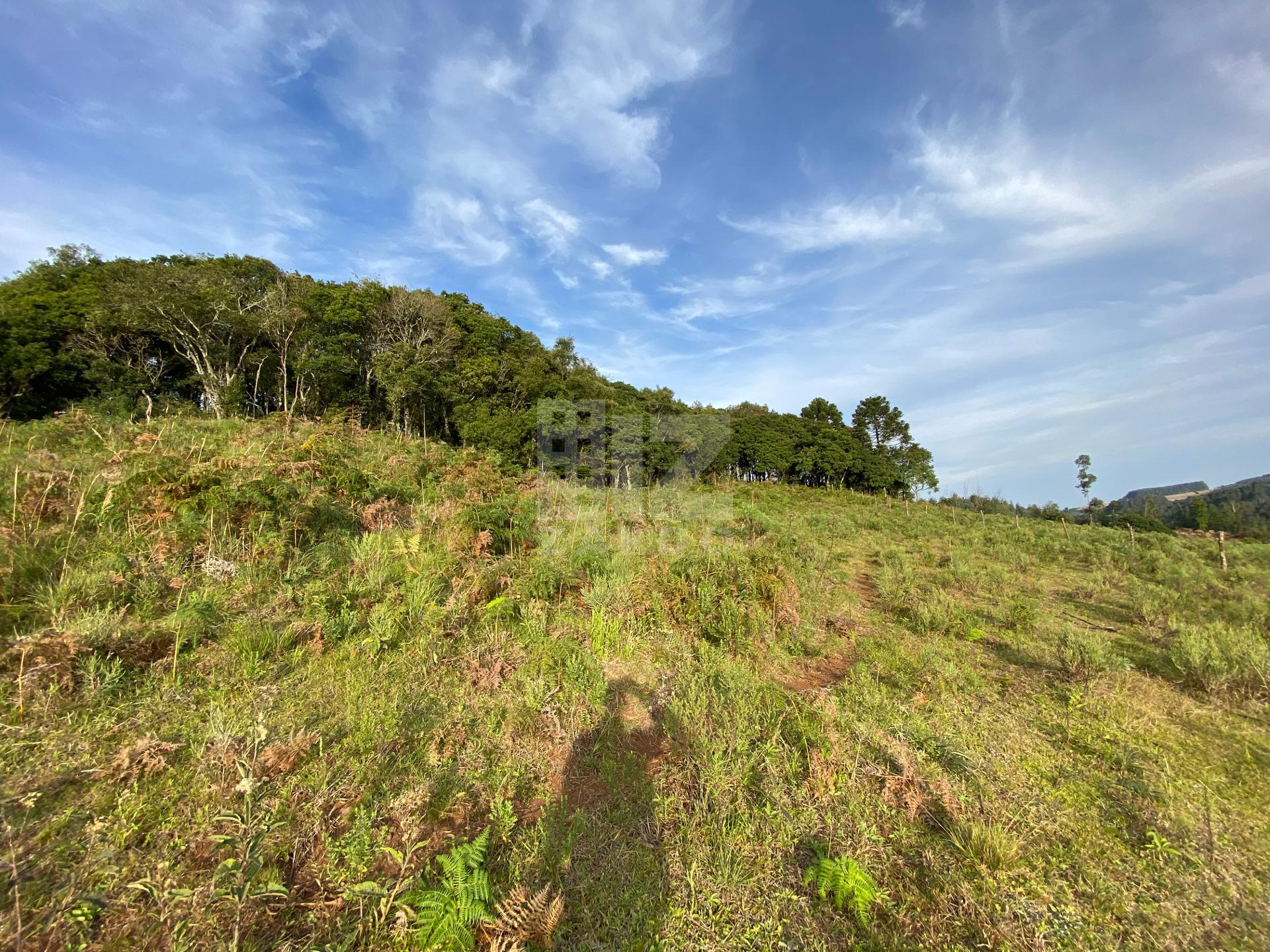 TERRENO RURAL À VENDA    LINHA CERRO BRANCO   SC-350   CAÇADOR...