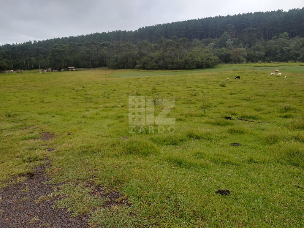 Chácara à venda, ZONA RURAL, CACADOR - SC