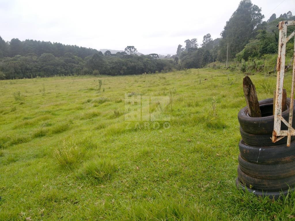 Chácara à venda, ZONA RURAL, CACADOR - SC