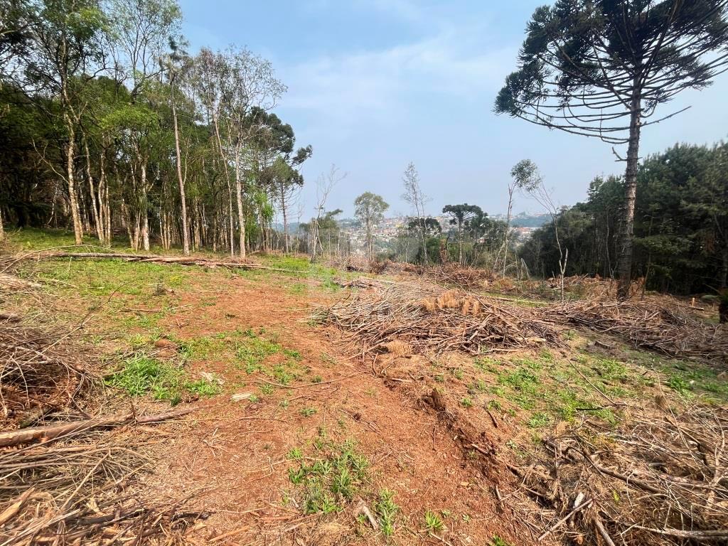 Chácara à venda, ZONA RURAL, CACADOR - SC