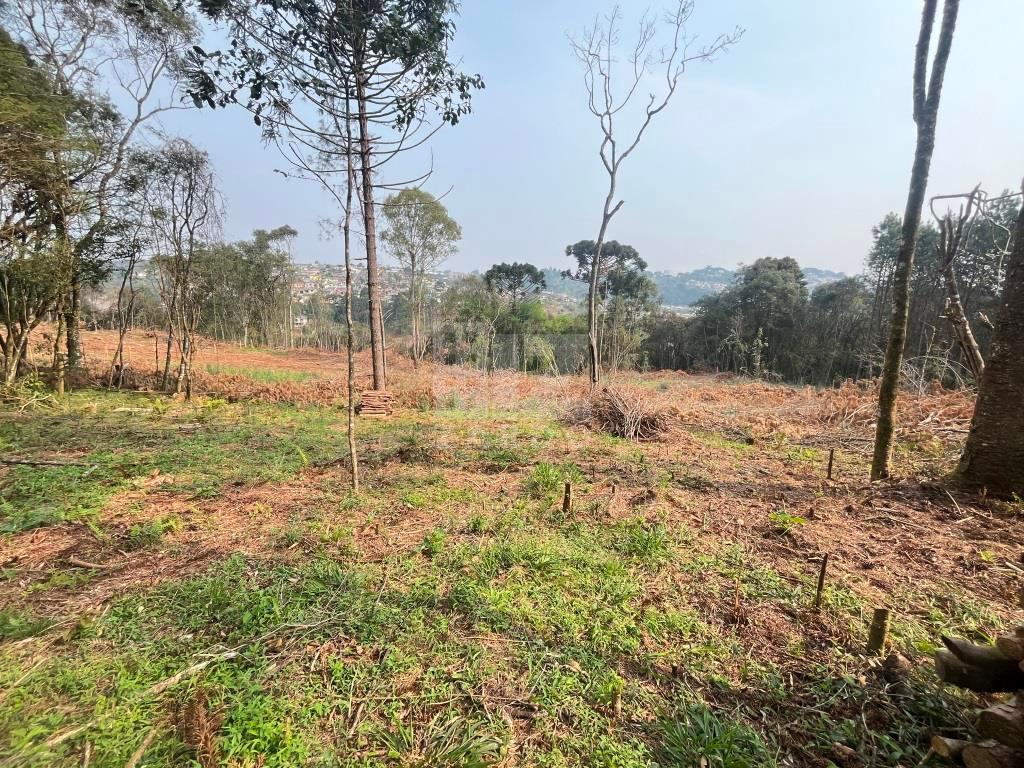 Chácara à venda, ZONA RURAL, CACADOR - SC