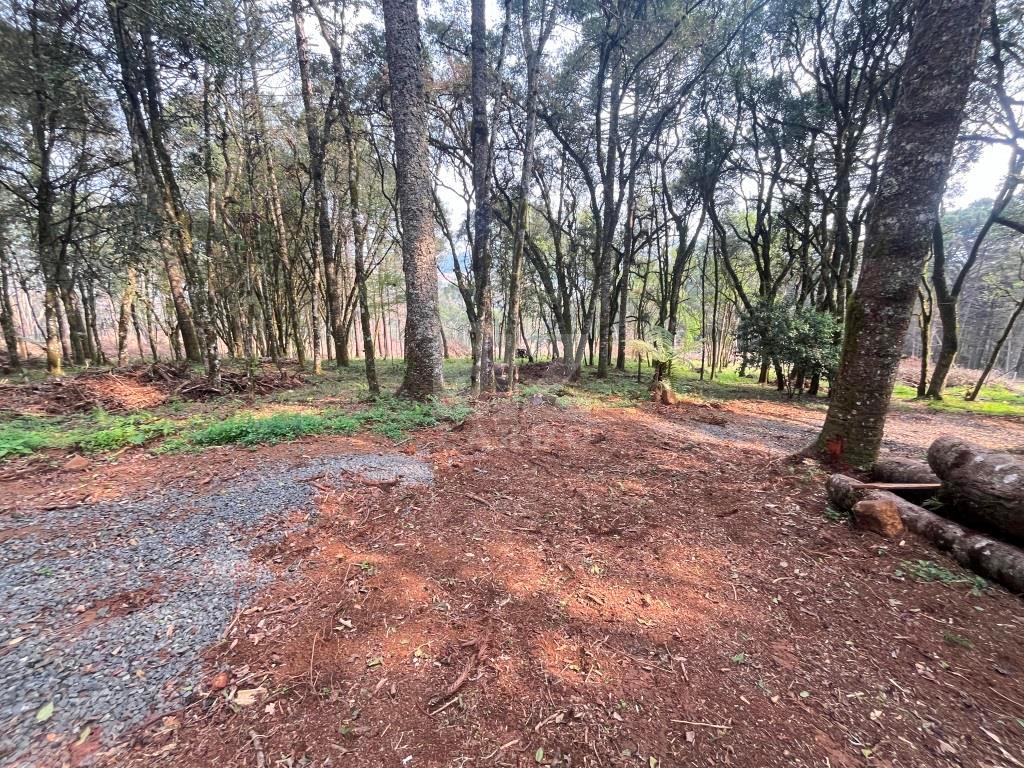 Chácara à venda, ZONA RURAL, CACADOR - SC