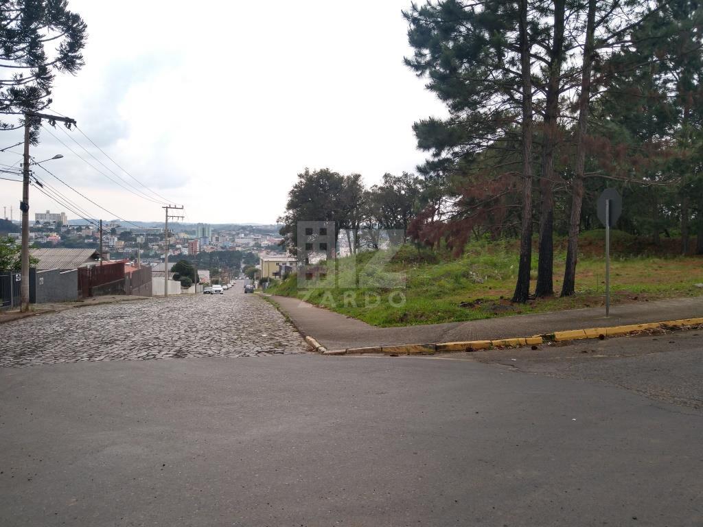 Terreno, BERGER, CACADOR - SC