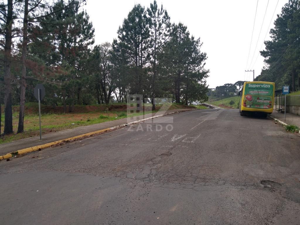 Terreno, BERGER, CACADOR - SC