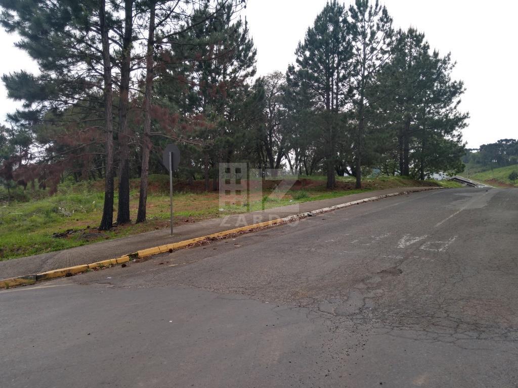 Terreno, BERGER, CACADOR - SC
