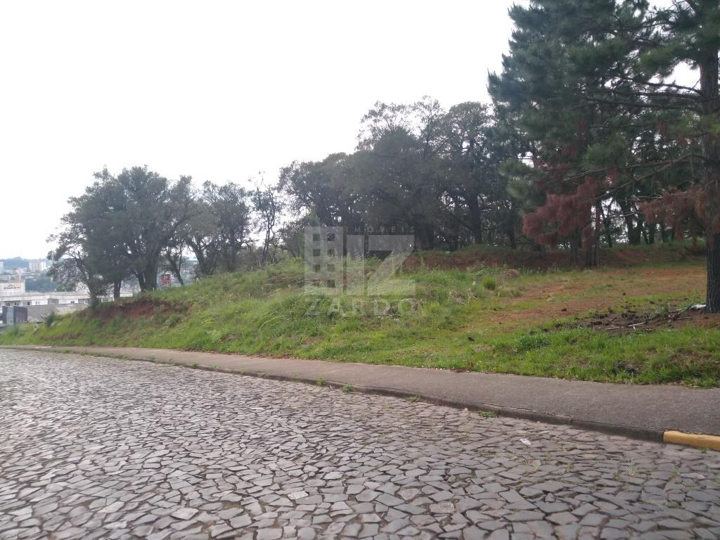Terreno, BERGER, CACADOR - SC