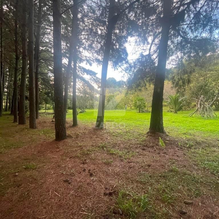 Rural à venda, ZONA RURAL, CACADOR - SC