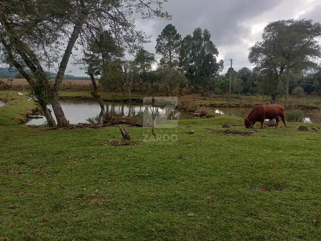 Chácara à venda, ZONA RURAL, TIMBO GRANDE - SC
