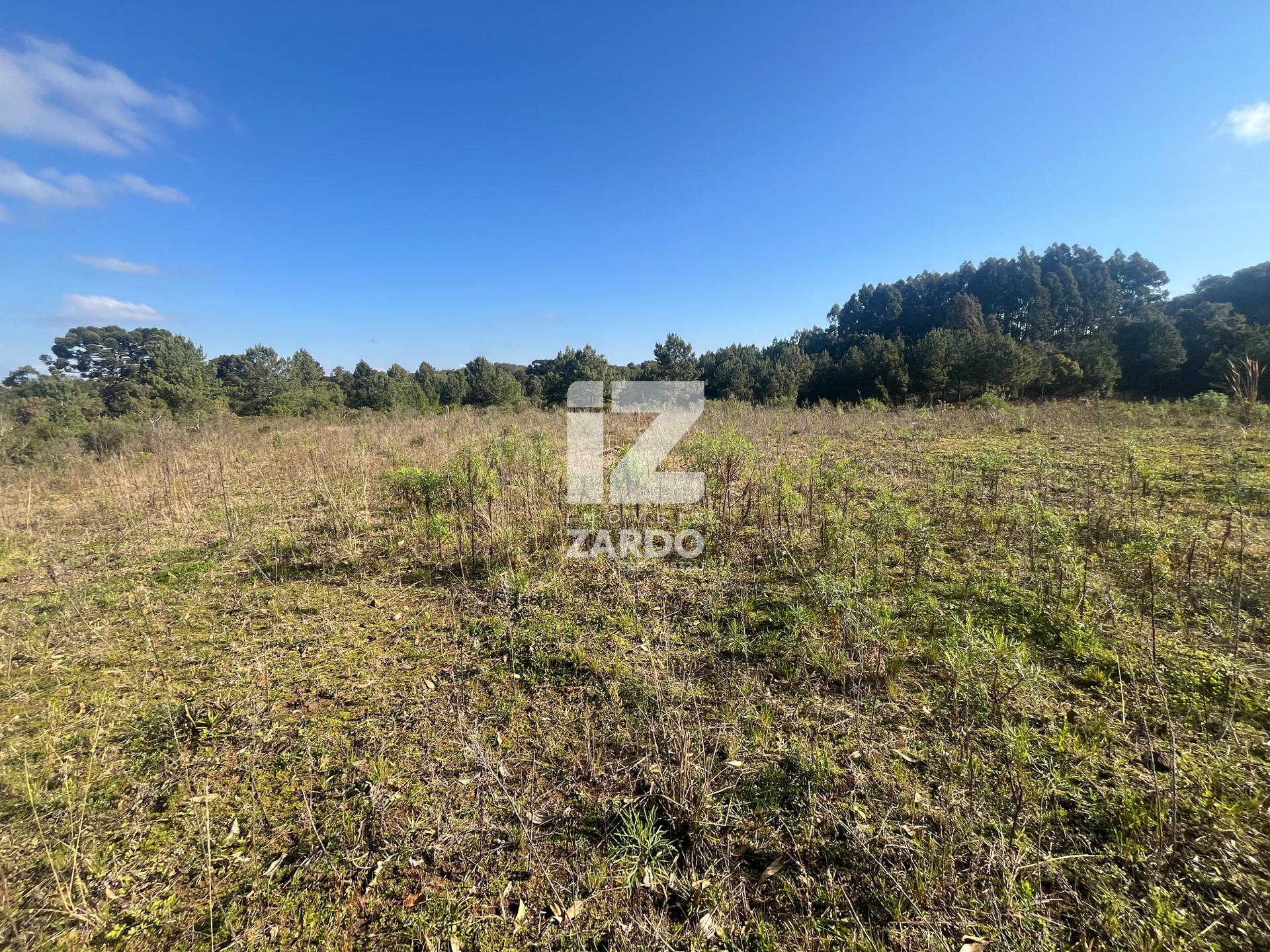 ÁREA RURAL À VENDA, FRENTE À SC 350 ZONA RURAL, CACADOR - SC