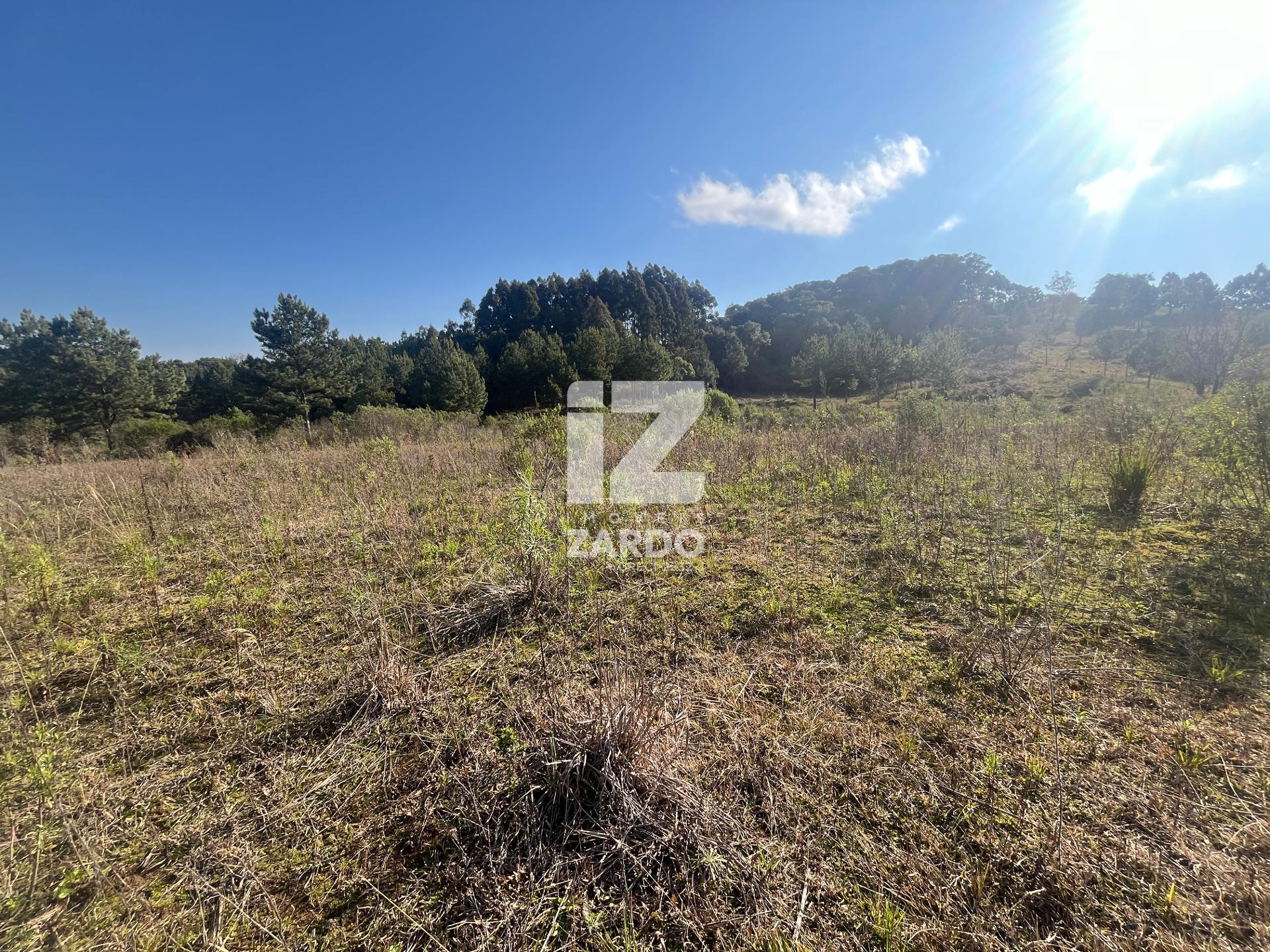 ÁREA RURAL À VENDA, FRENTE À SC 350 ZONA RURAL, CACADOR - SC