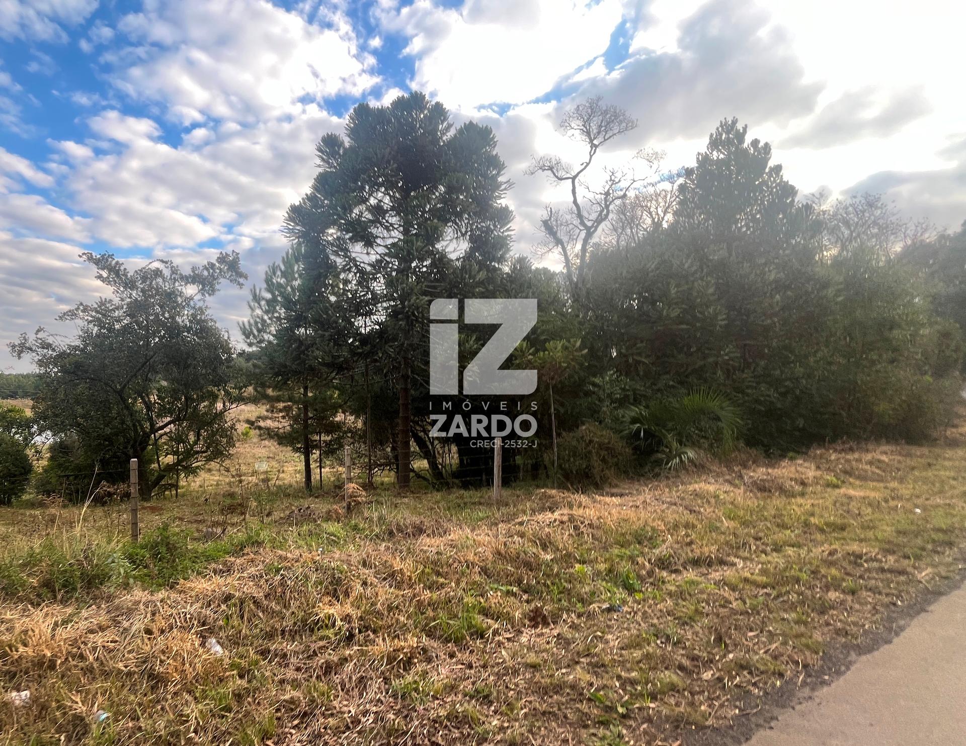 ÁREA RURAL À VENDA, FRENTE À SC 350 ZONA RURAL, CACADOR - SC