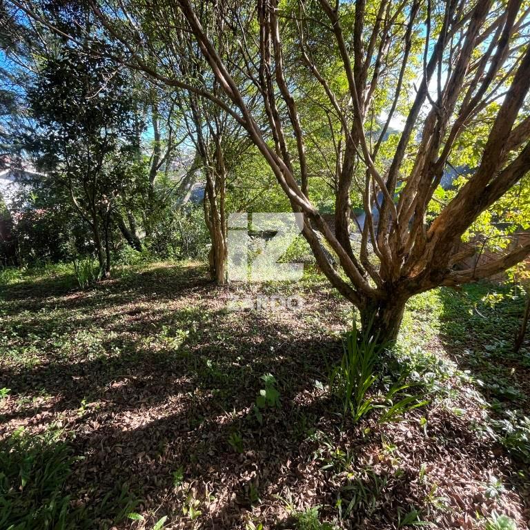 Terreno à venda, Nossa Senhora da Salete, CACADOR - SC