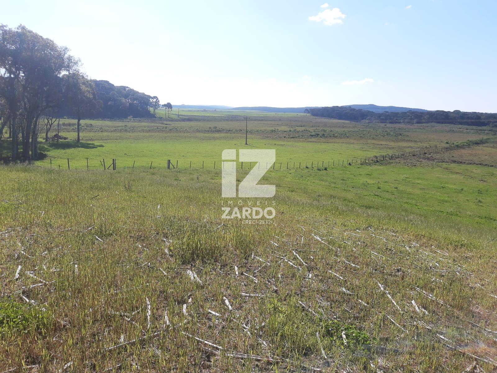 FAZENDA À VENDA, INTERIOR, MACIEIRA - SC