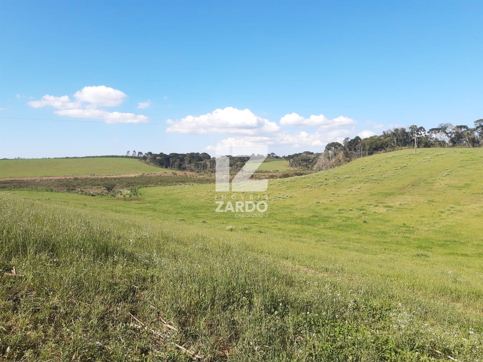 FAZENDA À VENDA, INTERIOR, MACIEIRA - SC