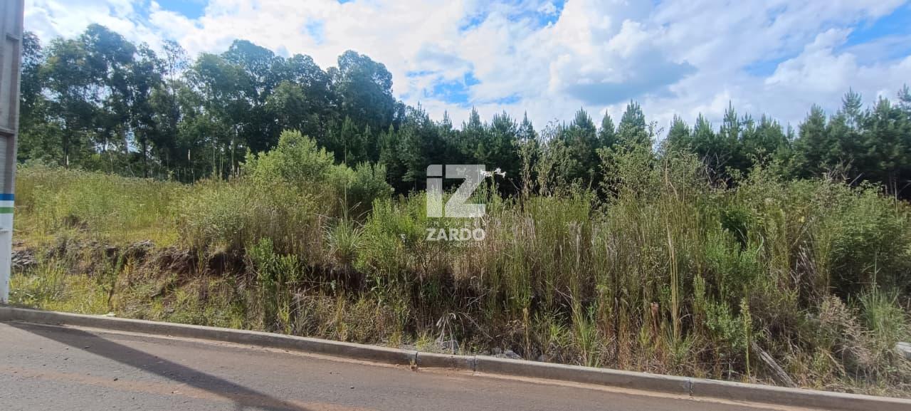 Lote plano à venda, Loteamento Lessing 2 - 384,44m  -  CACADOR...