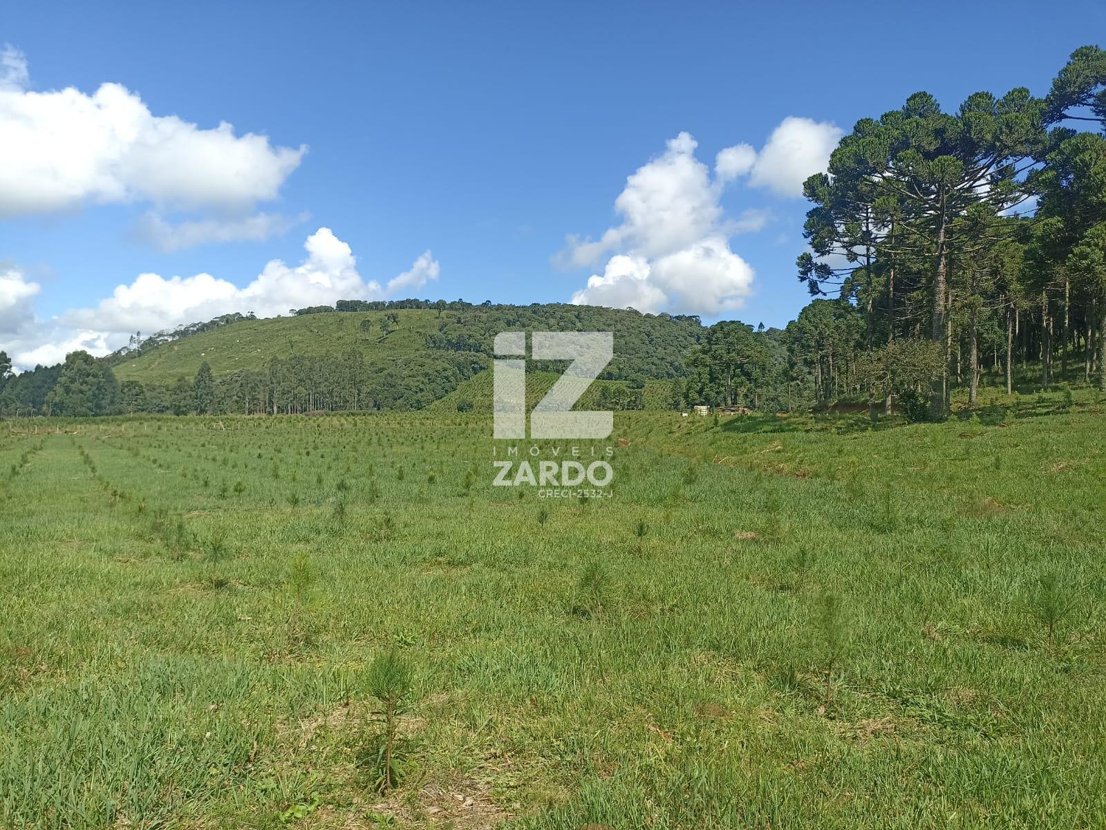 RURAL À VENDA, INTERIOR, LEBON REGIS - SC
