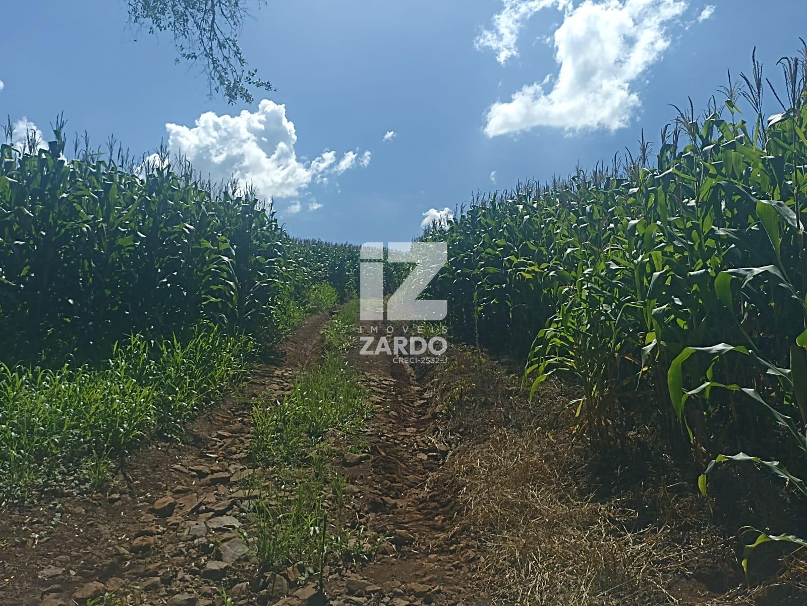 ÁREA RURAL À VENDA, INTERIOR LINHA LARANJEIRA, CACADOR - SC