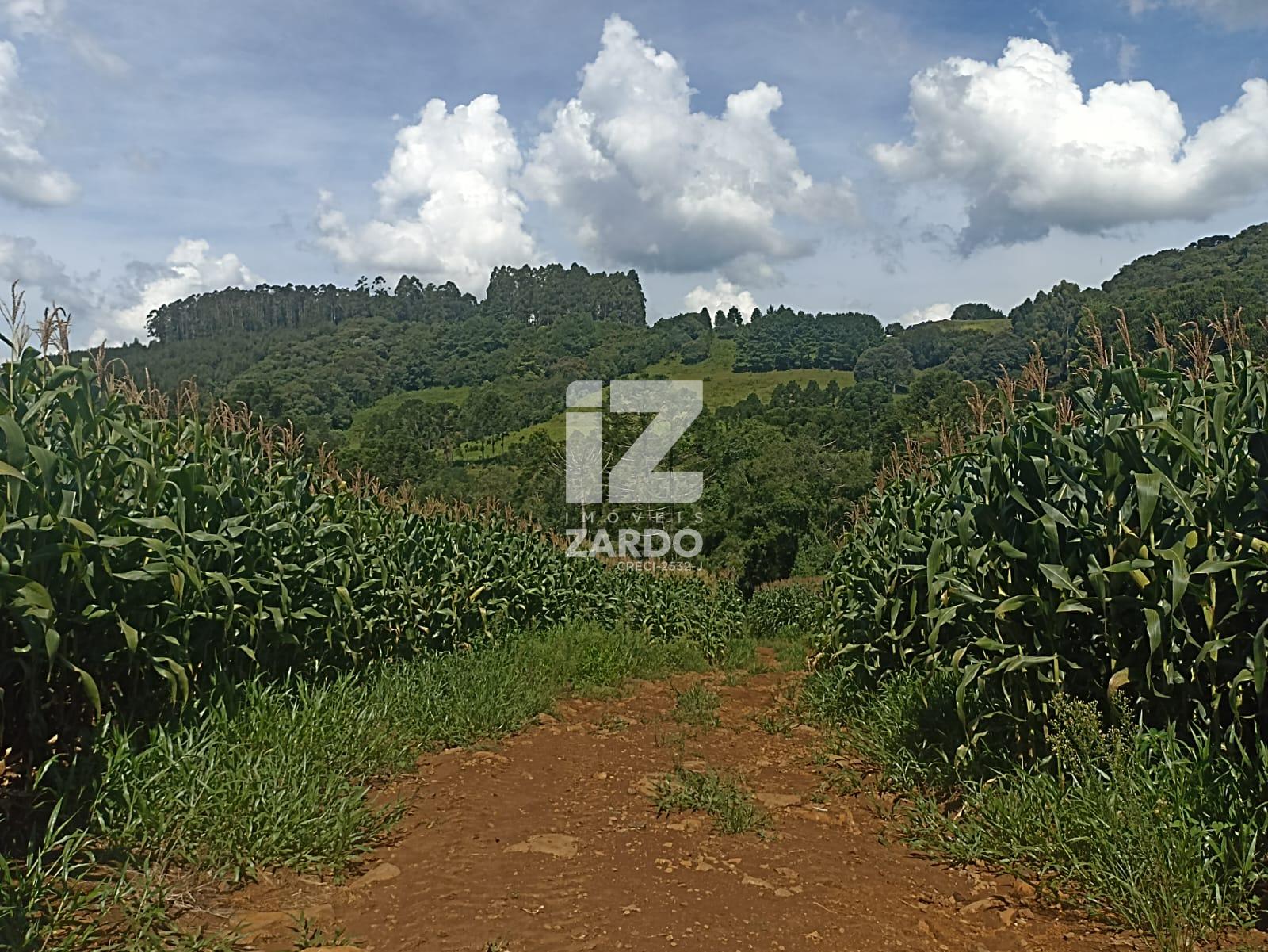 ÁREA RURAL À VENDA, INTERIOR LINHA LARANJEIRA, CACADOR - SC