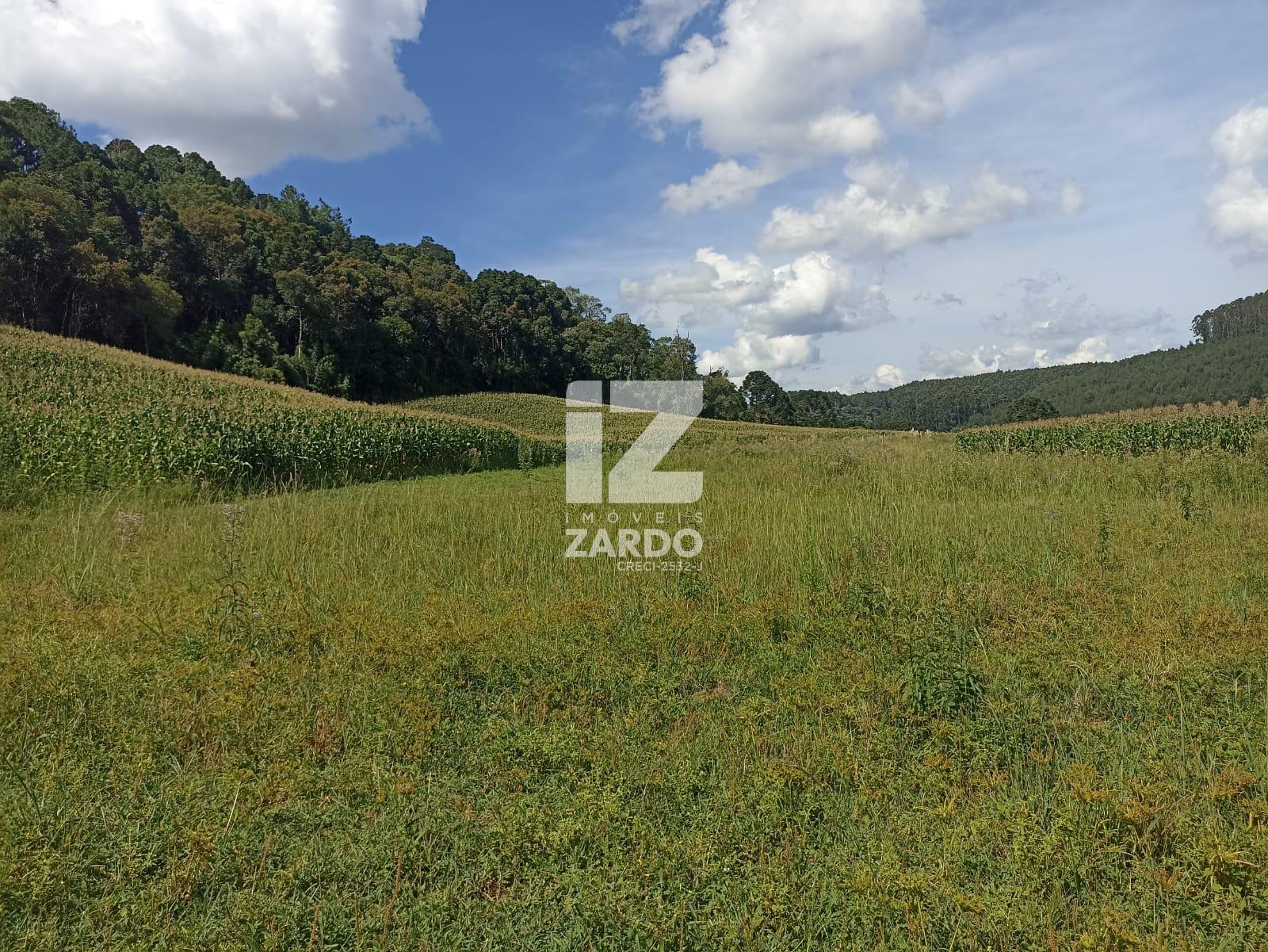 ÁREA RURAL À VENDA, INTERIOR LINHA LARANJEIRA, CACADOR - SC