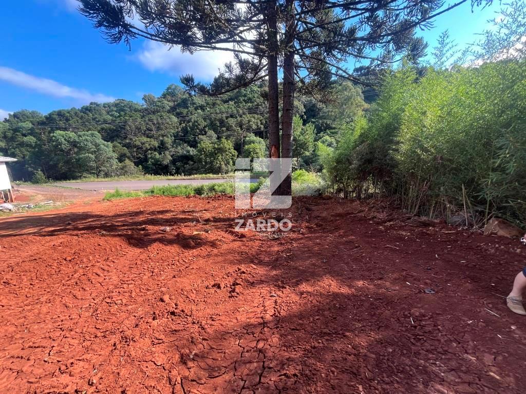 TERRENO COMERCIAL FRENTE COM RODOVIA CACADOR .