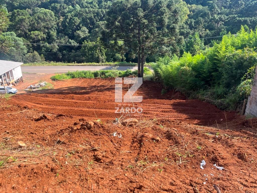 TERRENO COMERCIAL FRENTE COM RODOVIA CACADOR .