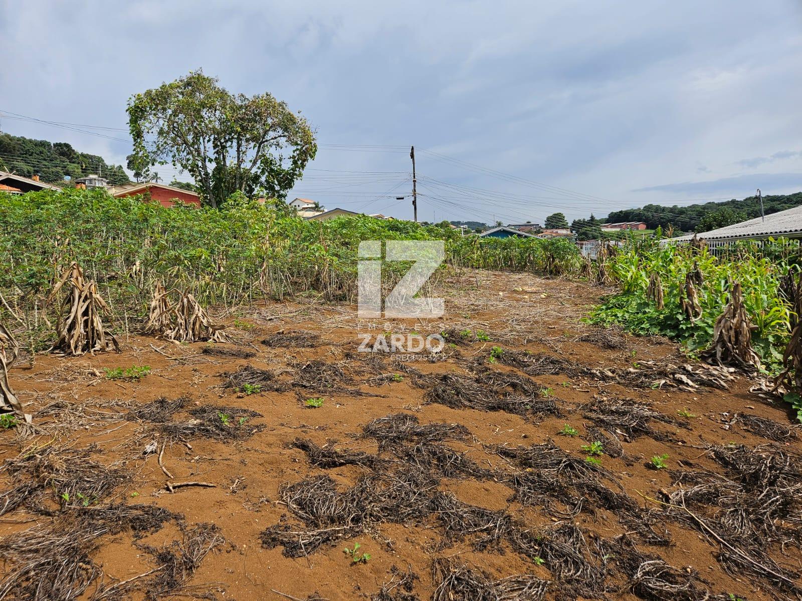 TERRENOS SEMI PLANOS PRONTOS PARA CONSTRUÇÃO, BAIRRO DOS MUNIC...