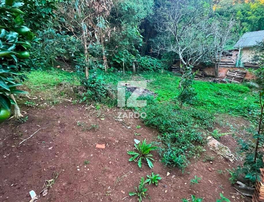 Casa à venda, MARTELLO, CACADOR - SC
