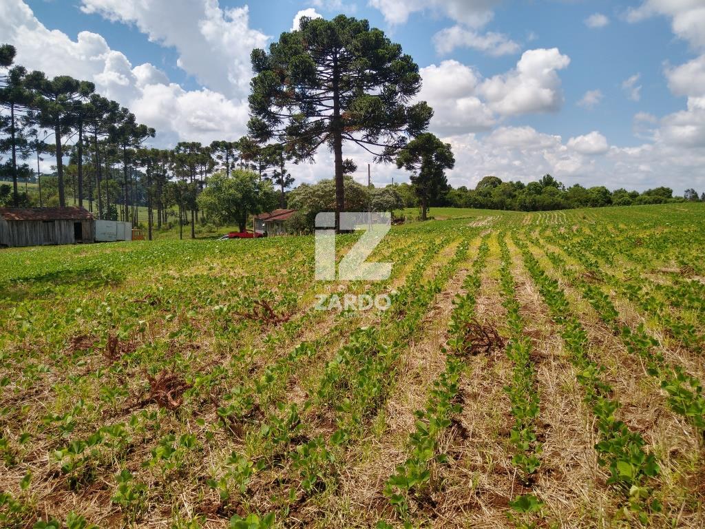 Rural à venda, Nossa Senhora da Salete, CACADOR - SC