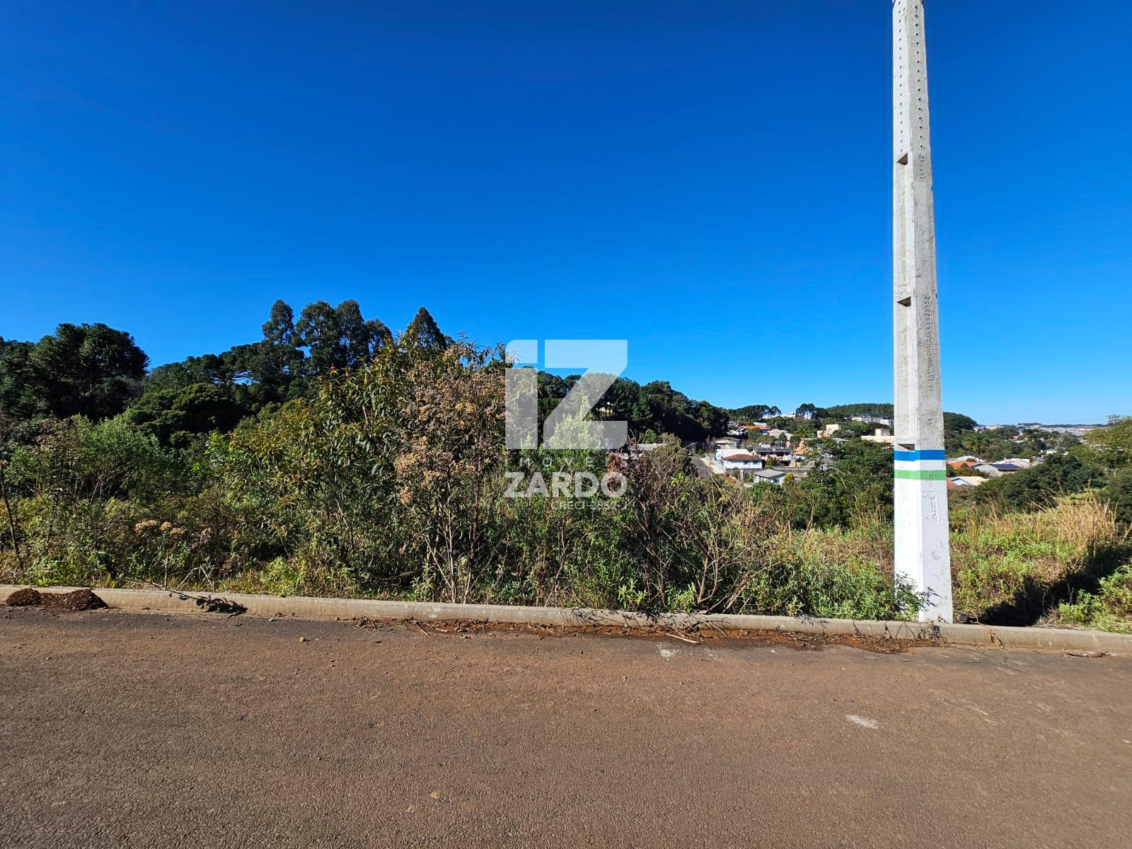 TERRENO A VENDA, REUNIDAS, CACADOR - SC