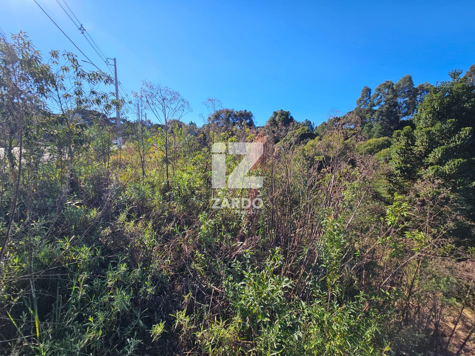 TERRENO A VENDA, REUNIDAS, CACADOR - SC